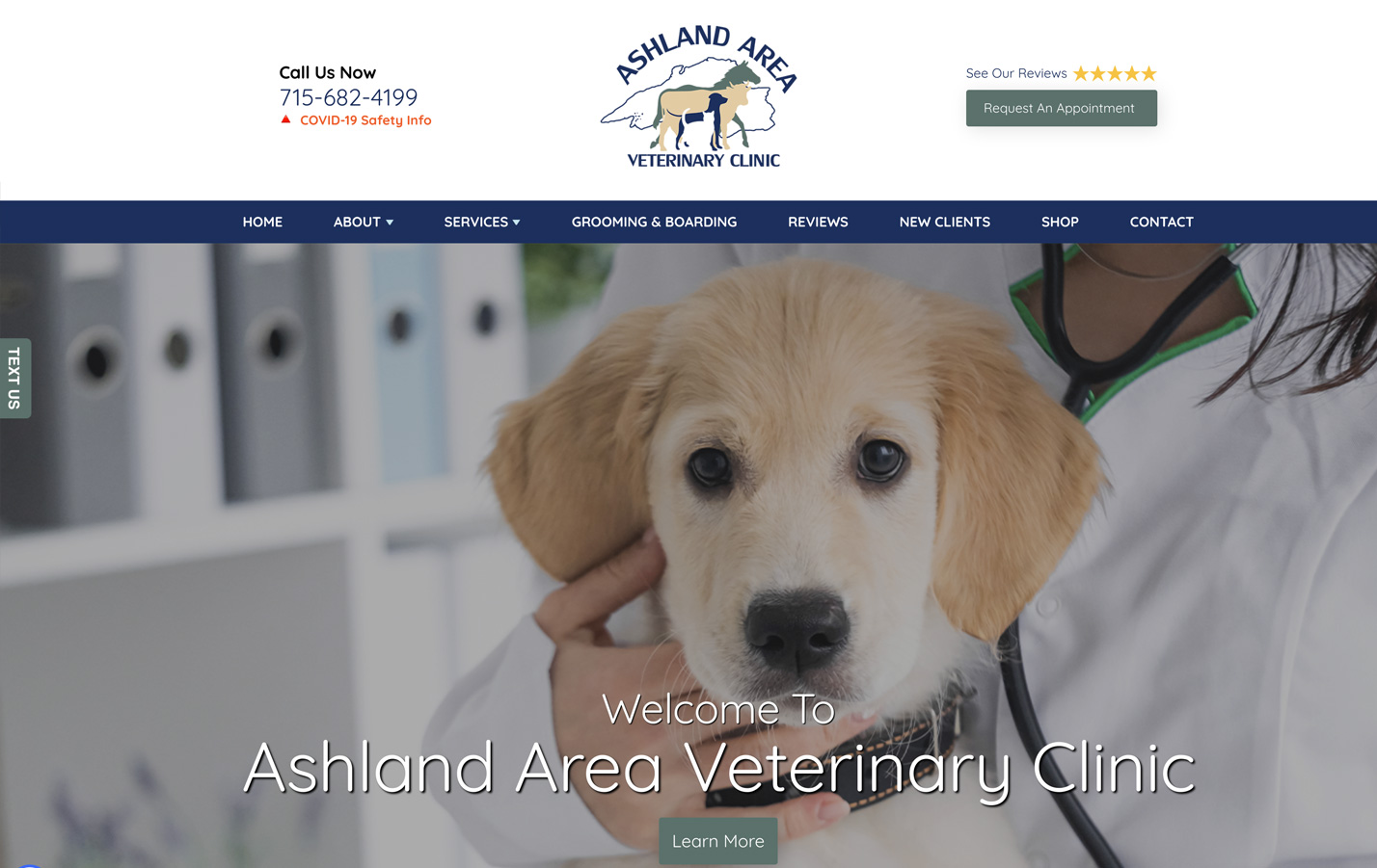Best Dental Websites